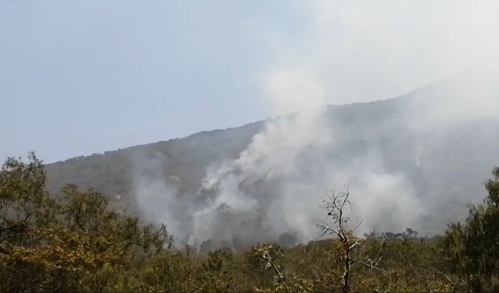 Incendio en la Sierra Gorda de Querétaro cumple 20 días