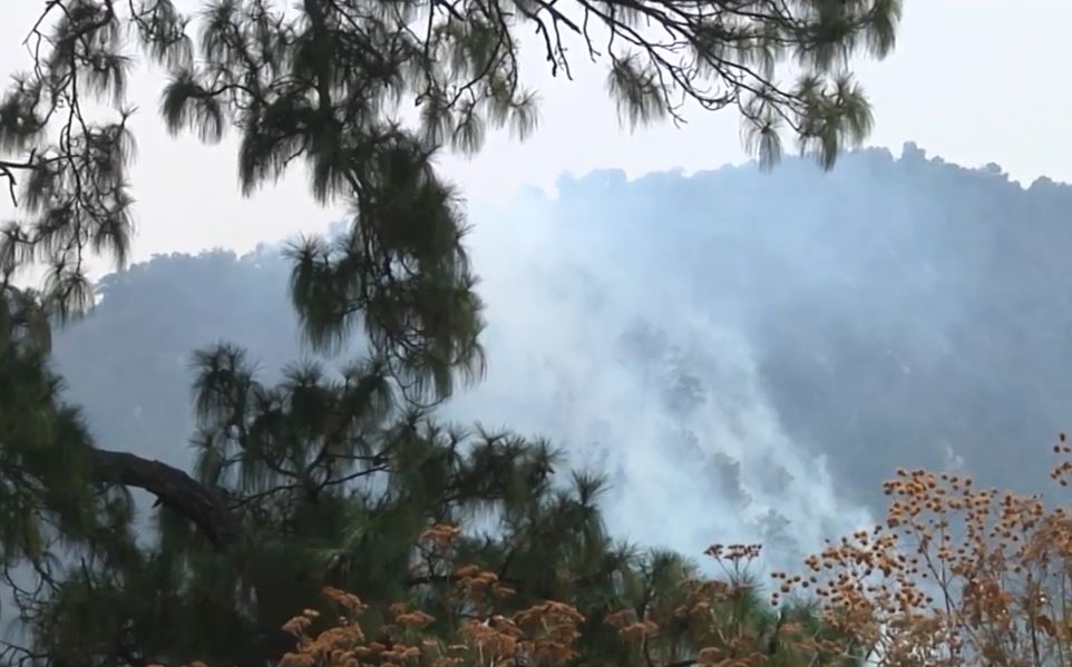 Controlan incendio en las faldas del Volcán Nevado de Colima