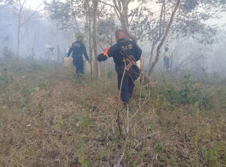 Emiten declaratoria de emergencia para 11 municipios de Oaxaca afectados por incendios forestales