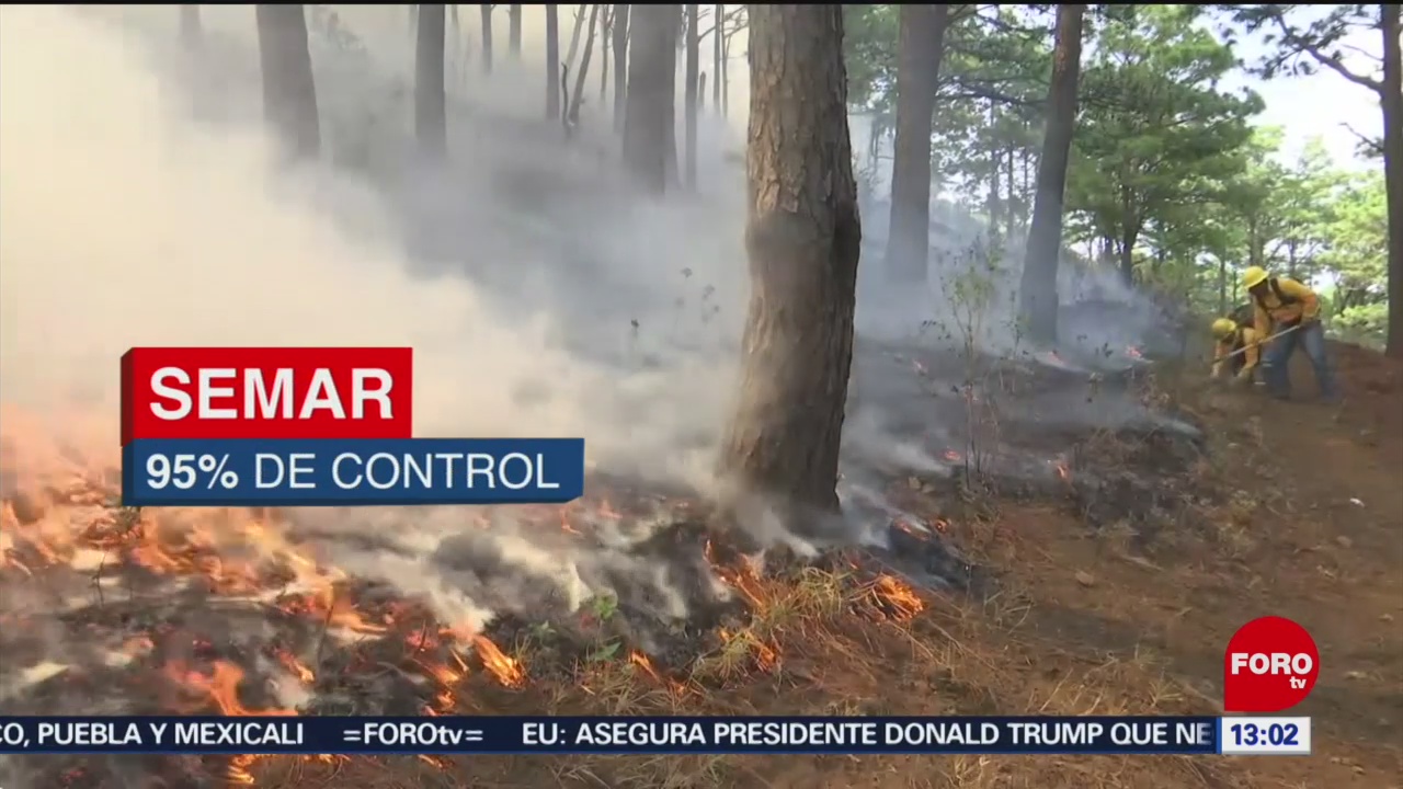 FOTO: Incendios afectan la selva de los Chimalapas en Oaxaca, 11 MAYO 2019