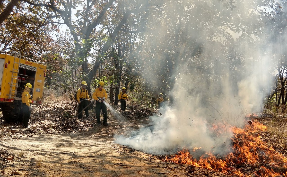 Foto: Combate de incendios forestales, 2 de mayo 2019. Twitter @CONAFOR