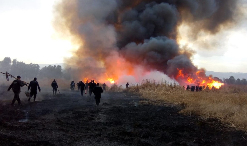 Foto: Elementos de la Secretaría del Medio Ambiente en CDMX atienden incendios forestales, mayo 11 de 2019 (Twitter: @SEDEMA_CDMX)
