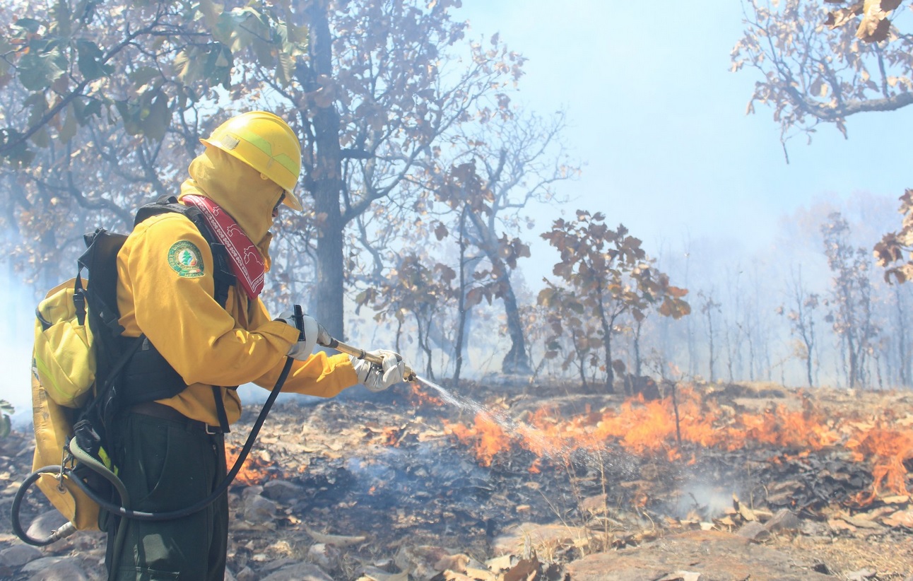 Calor complica trabajos para sofocar incendios forestales en Guerrero