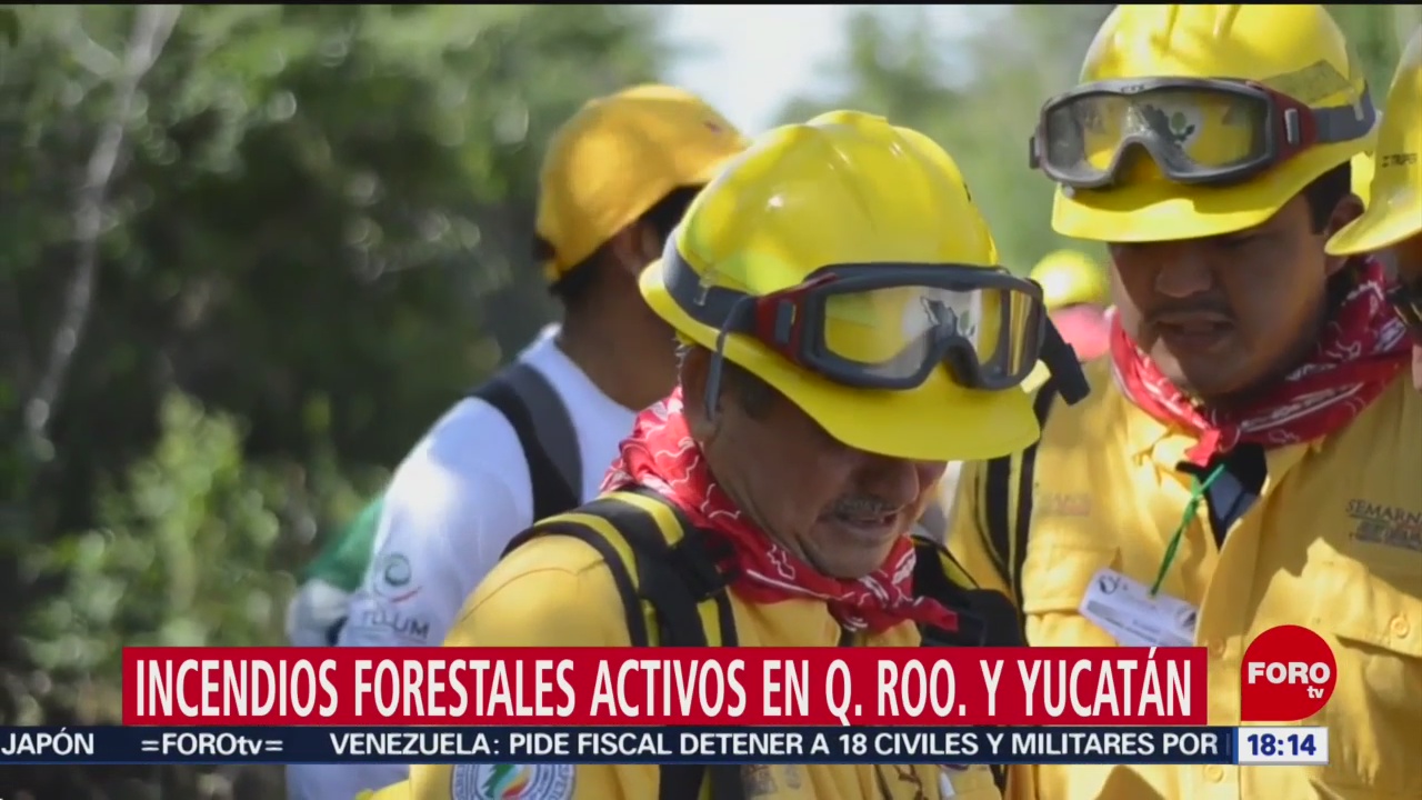 FOTO: Incendios forestales activos en Quintana Roo y Yucatán, 5 MAYO 2019