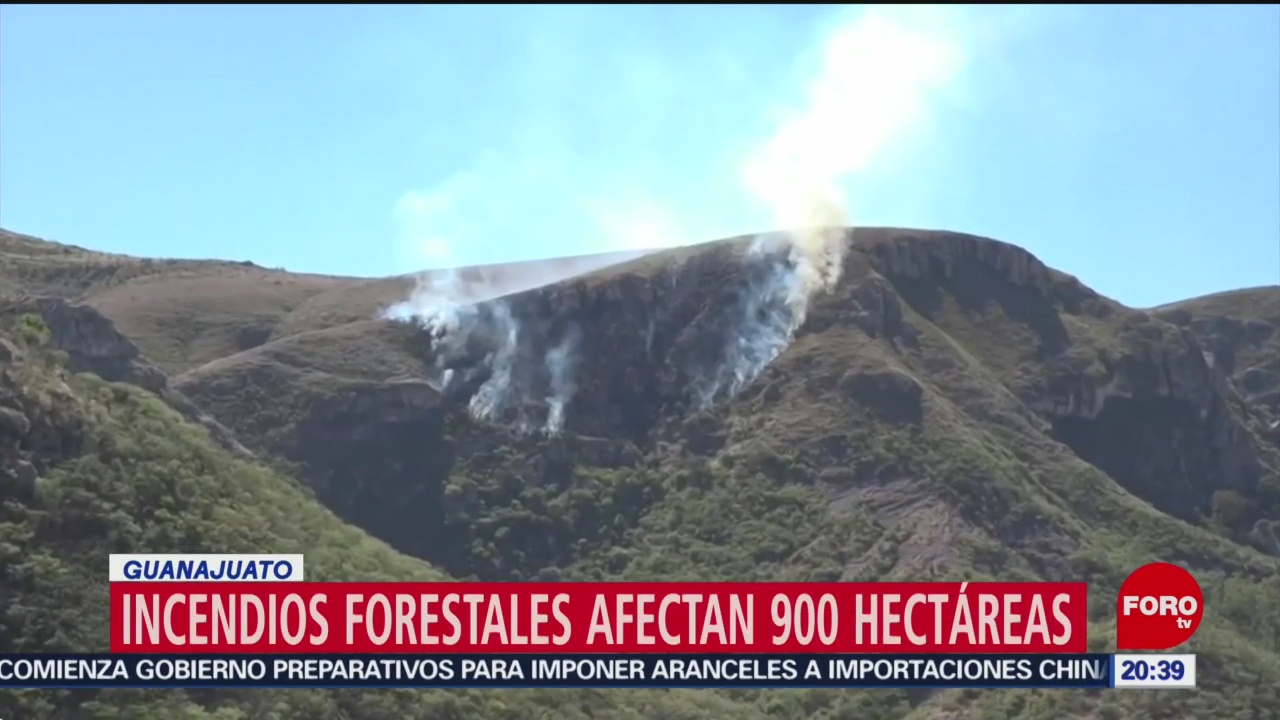 FOTO: Incendios forestales afectan 900 hectáreas en Guanajuato, 11 MAYO 2019