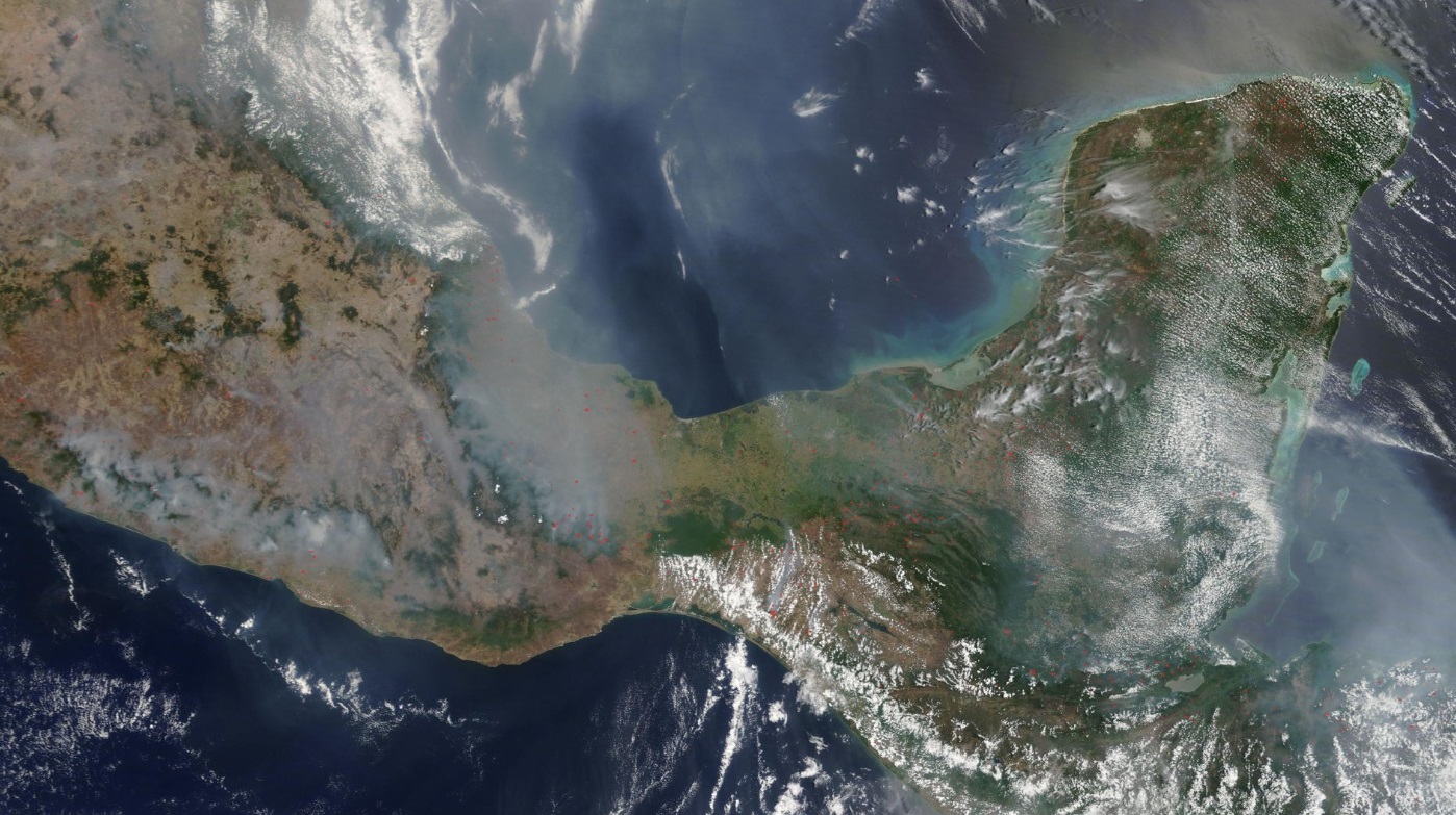 Oaxaca sofoca 19 incendios en selvas en un mes