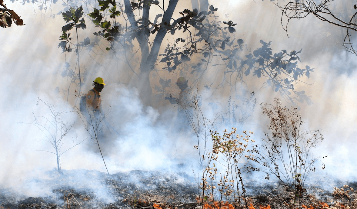 FOTO Siguen incendios forestales en México, analizan bonos catastróficos (Conafor mayo 2019)