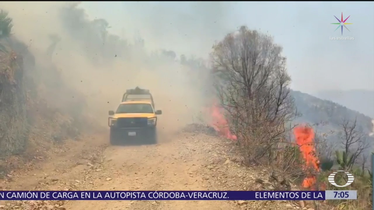 Incendios forestales se extienden en gran parte de México
