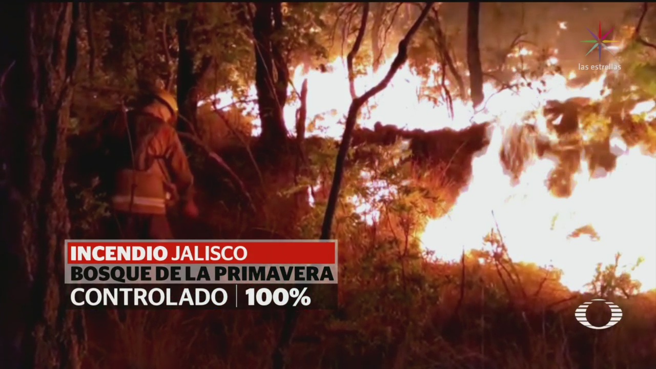 Foto: Incrementan Incendios Forestales México 13 de Mayo 2019