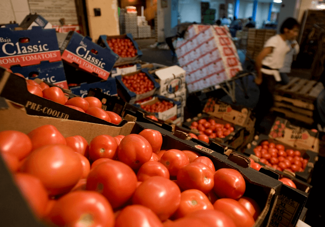 AMLO vincula decisión de EU sobre tomate a elecciones en ese país