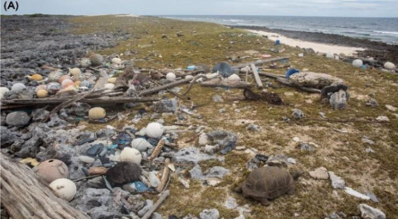 Foto Islas Cocos acumulan 414 millones de residuos de plÃ¡stico 17 mayo 2019