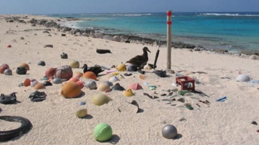 Las islas Cocos acumulan 414 millones de residuos de plástico en costas