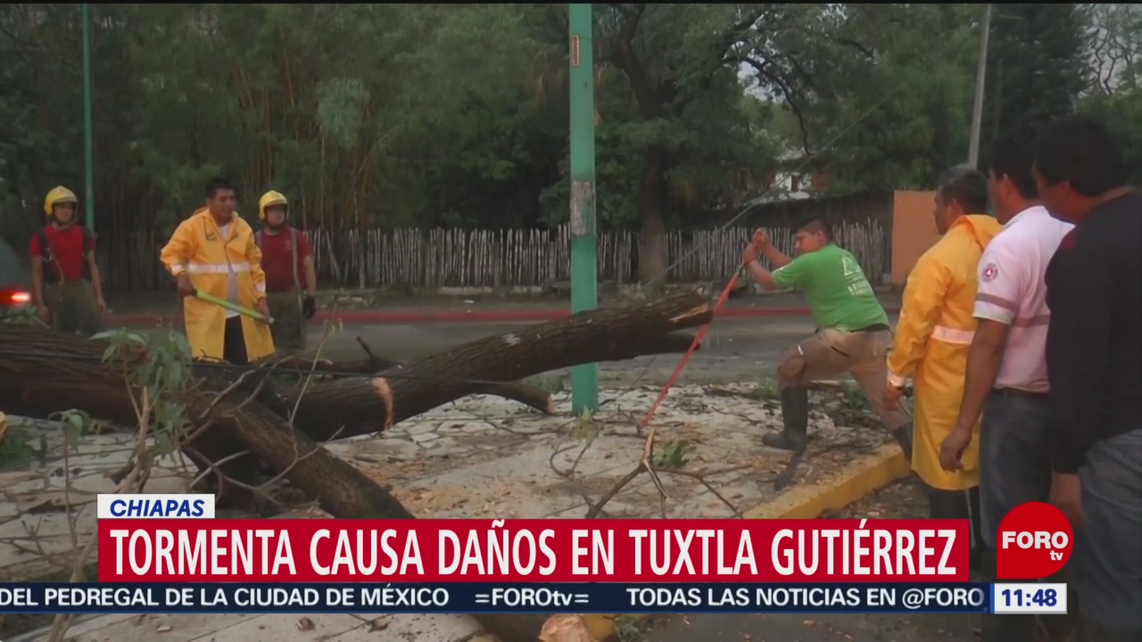 Lluvia daña vehículos y derriba árboles en Tuxtla Gutiérrez, Chiapas