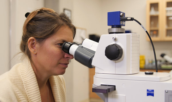 Michelle Trautwein, entomóloga de la Academia de Ciencia de California en San Francisco, hizo pruebas a más de 2 mil personas y encontró rastros genéticos de ácaros en cada una de ellas (KQED)