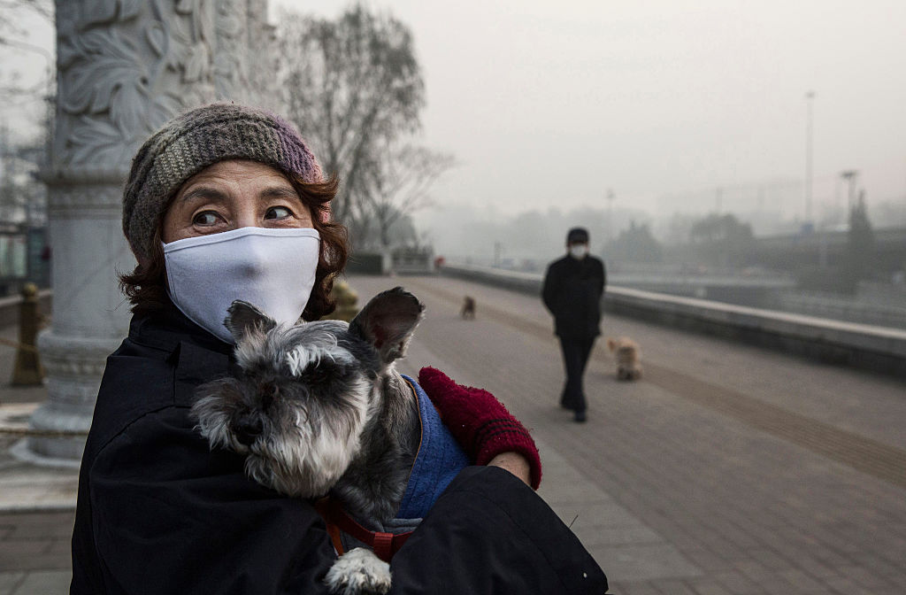 Mujer china usa una máscara mientras carga a su perro en un día de contingencia ambiental en Beijing, China. (GettyImages)