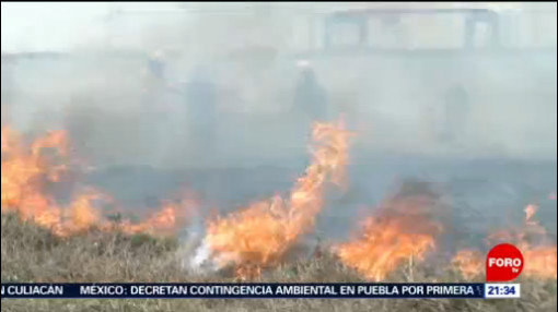 Foto: Incendios en México 14 de Mayo 2019