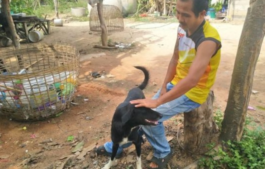 Perro salva a bebé abandonado y enterrado en campo de Tailandia