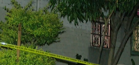 FOTO Pitbull mata a hombre que entró a robar casa en Guadalajara (FOROtv 28 mayo 2019 guadalajara)