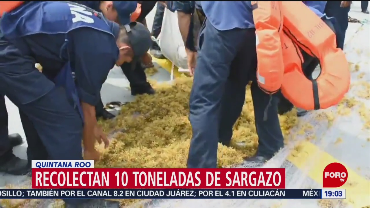 FOTO: Recolectan 10 toneladas de sargazo en Quintana Roo, 18 MAYO 2019