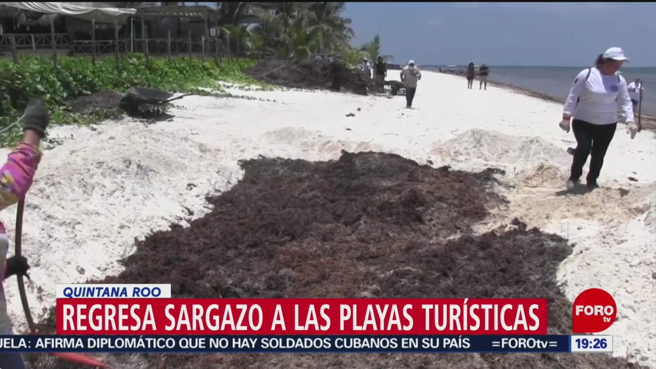 FOTO: Regresa el sargazo a playas de Quintana Roo, 1 MAYO 2019