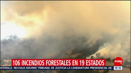 Foto: Incendios Forestales País México 16 de Mayo 2019