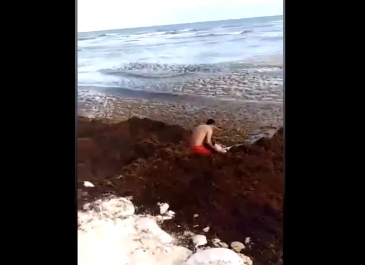 Rescatan a turista entre sargazo en Playa del Carmen, Quintana Roo