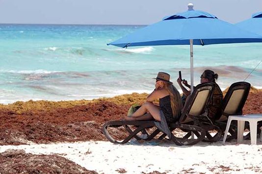 Sargazo ahuyenta a turistas de Quintana Roo; hoteleros bajan precios