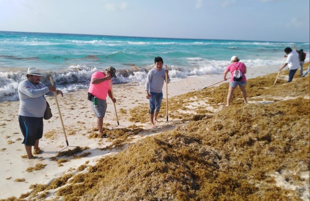 Foto: combate de sargazo en playas de Quintana Roo. 19 de mayo 2019. Twitter @AytoCancun