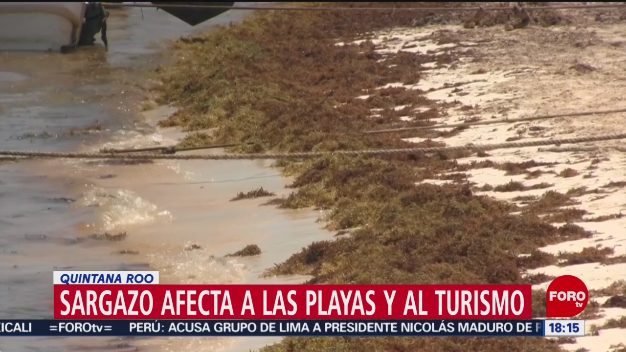 FOTO: Sargazo afecta a las playas y al turismo en Quintana Roo, 5 MAYO 2019