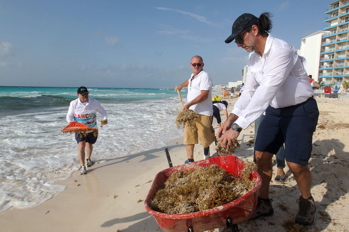Foto: Voluntarios limpian el sargazo de las playas de Cancún, en Quintana Roo, 22 mayo 2019