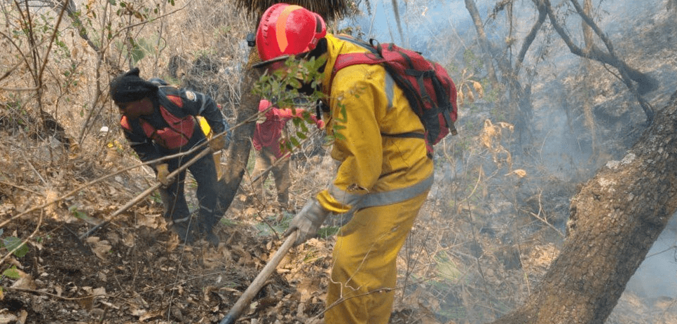 FOTO Suspenden clases en Chilpancingo por incendio forestal en El Calvario (Twitter @PC_Guerrero)