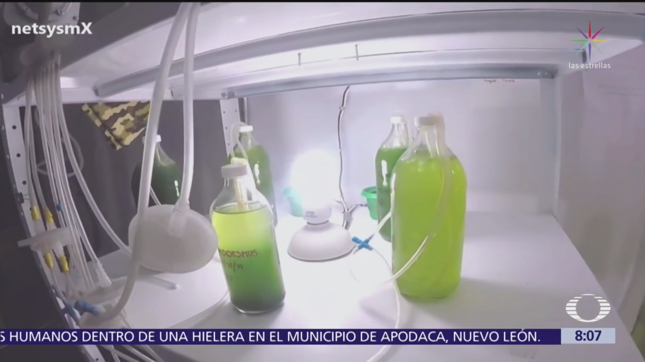 Tec de Monterrey desarrollan sistema para filtrar contaminantes atmosféricos
