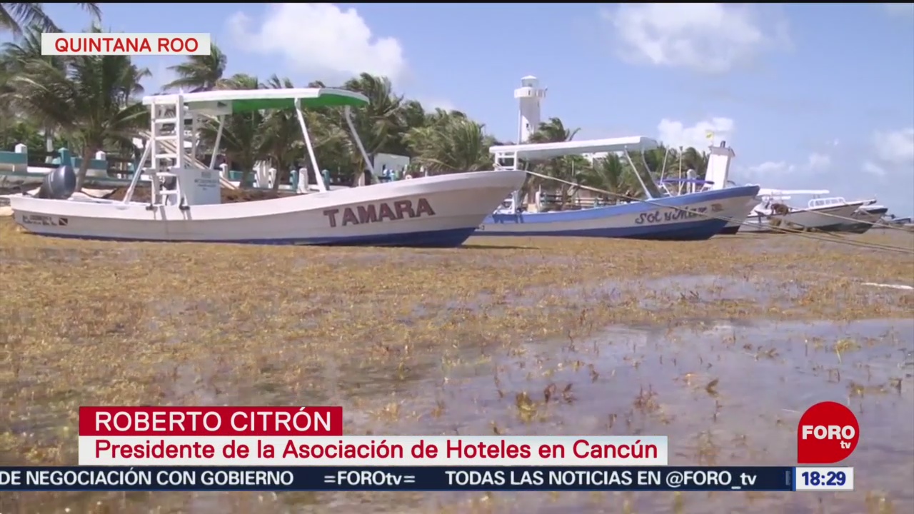 Foto: Usan barcos camaroneros contra el sargazo en Quintana Roo