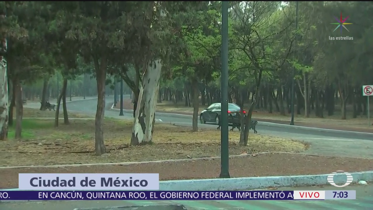 Zona de corredores en Chapultepec luce desierta durante contingencia