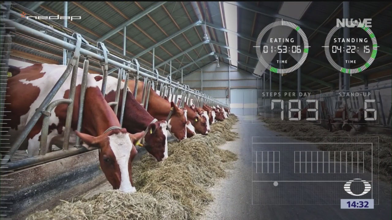 Foto: Agritech Vigilancia de ganado y de cultivos con drones