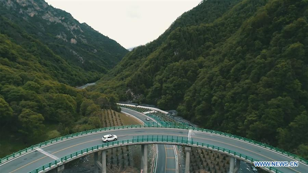 China inaugura tramo de autopista sin que se haya cortado un solo árbol
