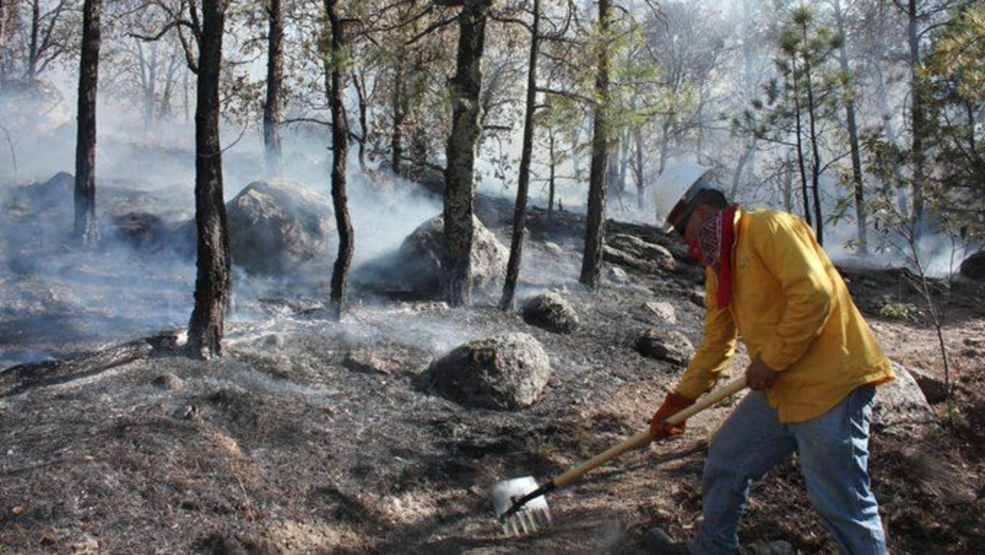 Reportan en Quintana Roo 4 incendios forestales activos