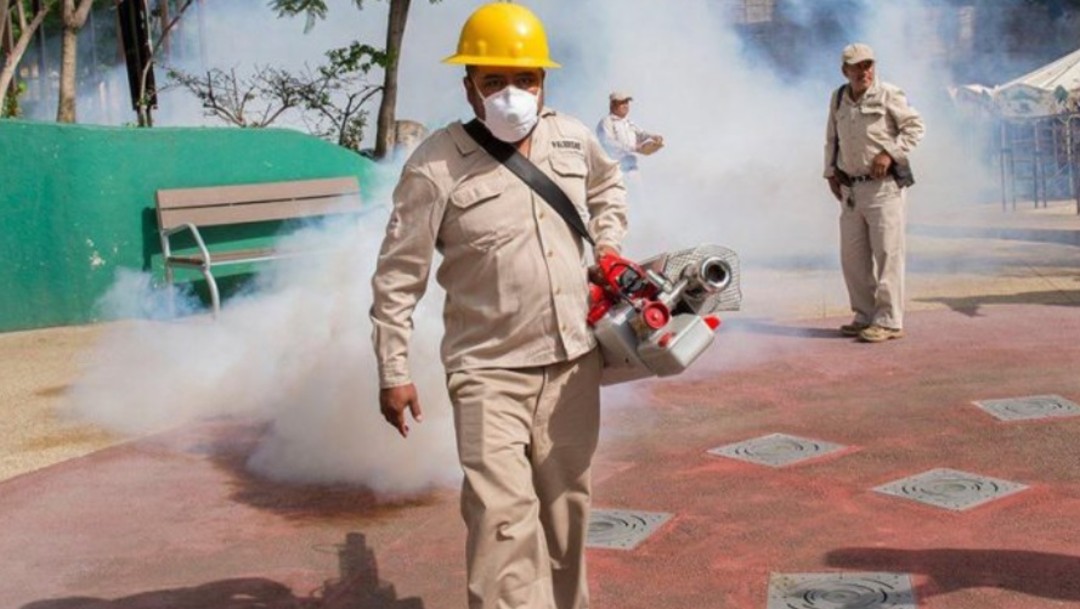 Oaxaca inicia con el combate del mosco transmisor de dengue