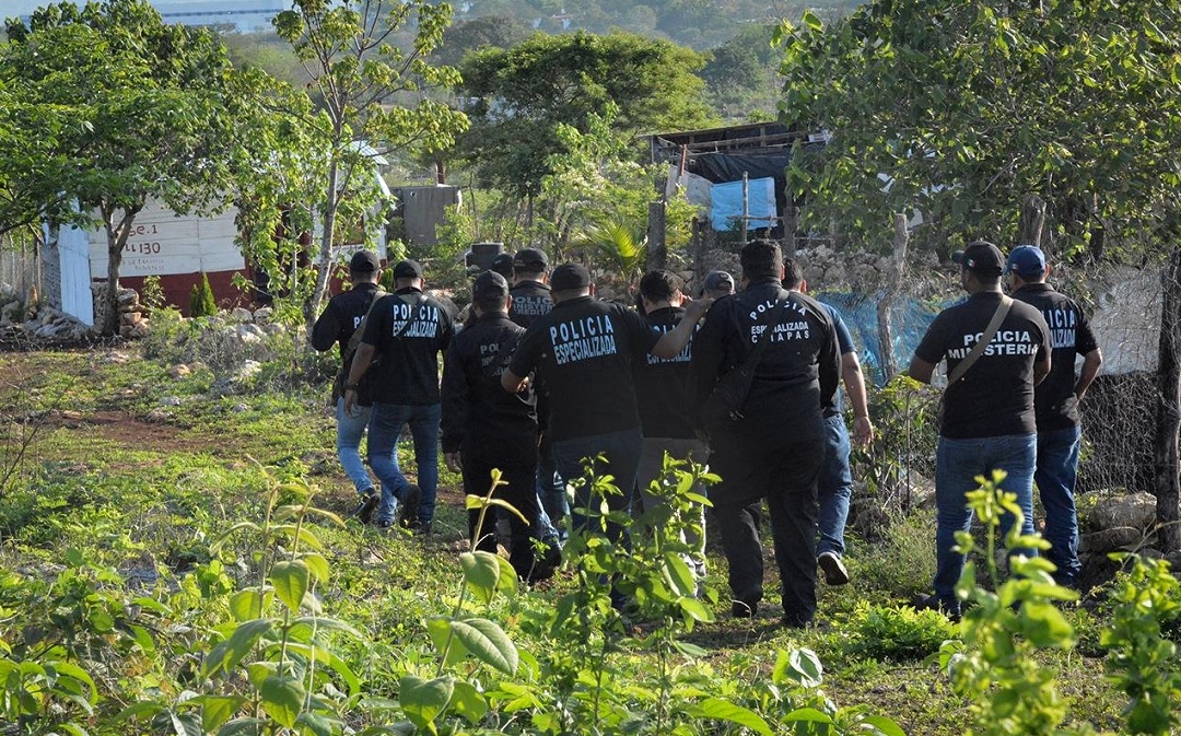 Recuperan 90 hectáreas invadidas en un predio en Chiapas