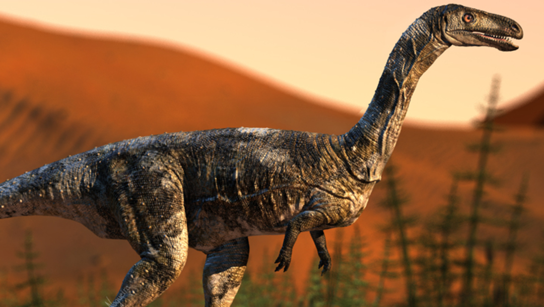 foto Descubren nueva especie de dinosaurio carnívoro 27 junio 2019