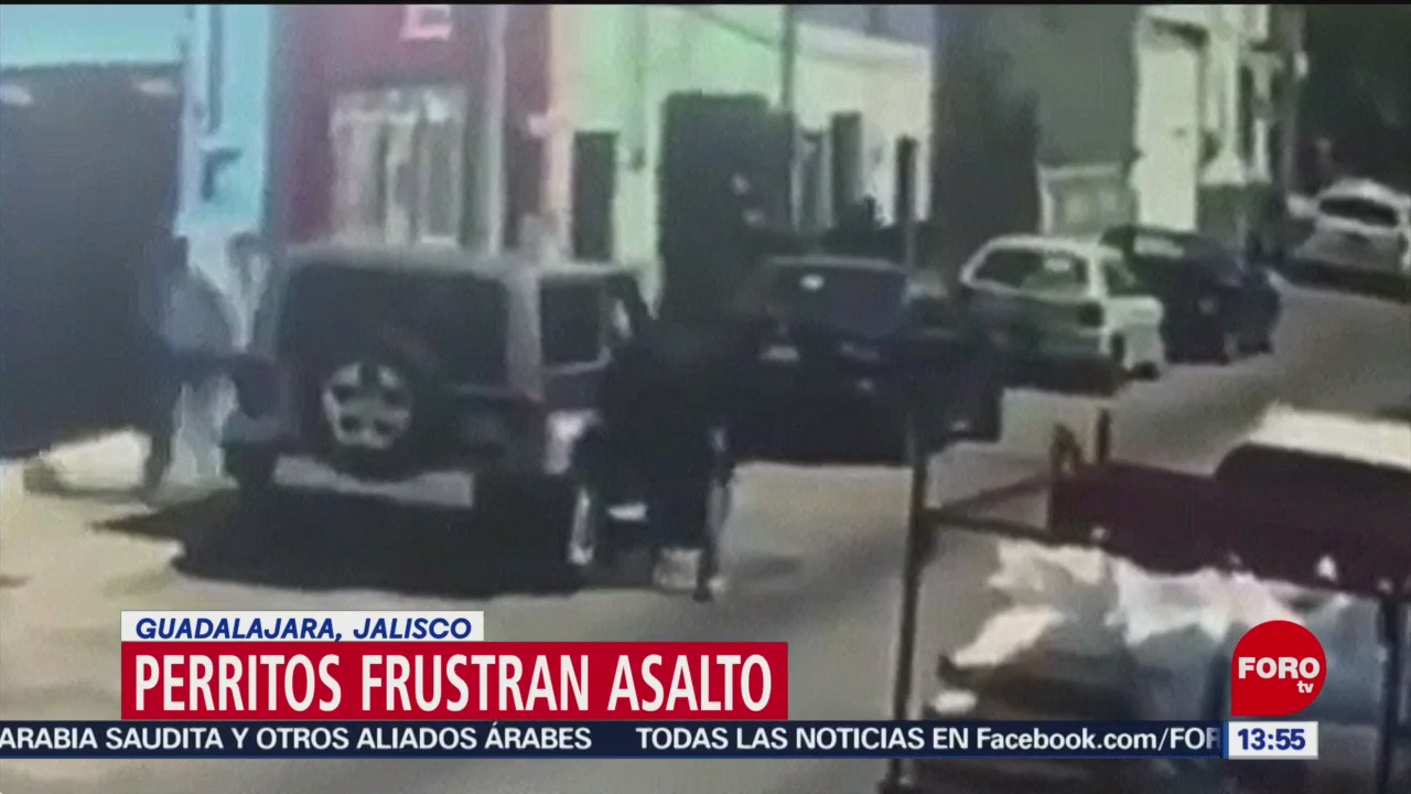 FOTO: Dos perritos frustran robo en Guadalajara