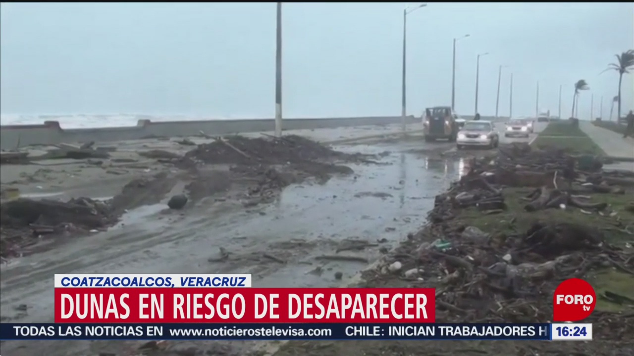 FOTO: Dunas costeras, en riesgo de desaparecer en Coatzacoalcos, Veracruz, 15 Junio 2019