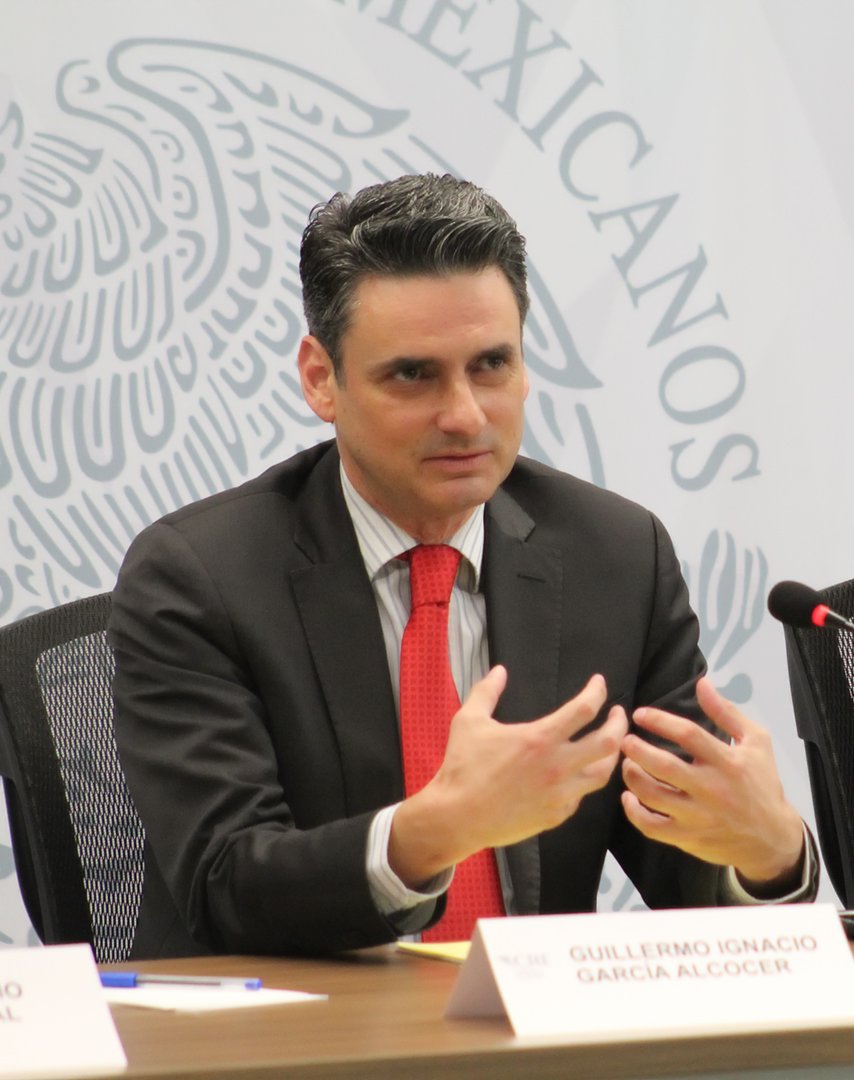 Foto García Alcocer renuncia a la Comisión Reguladora de Energía 3 junio 2019