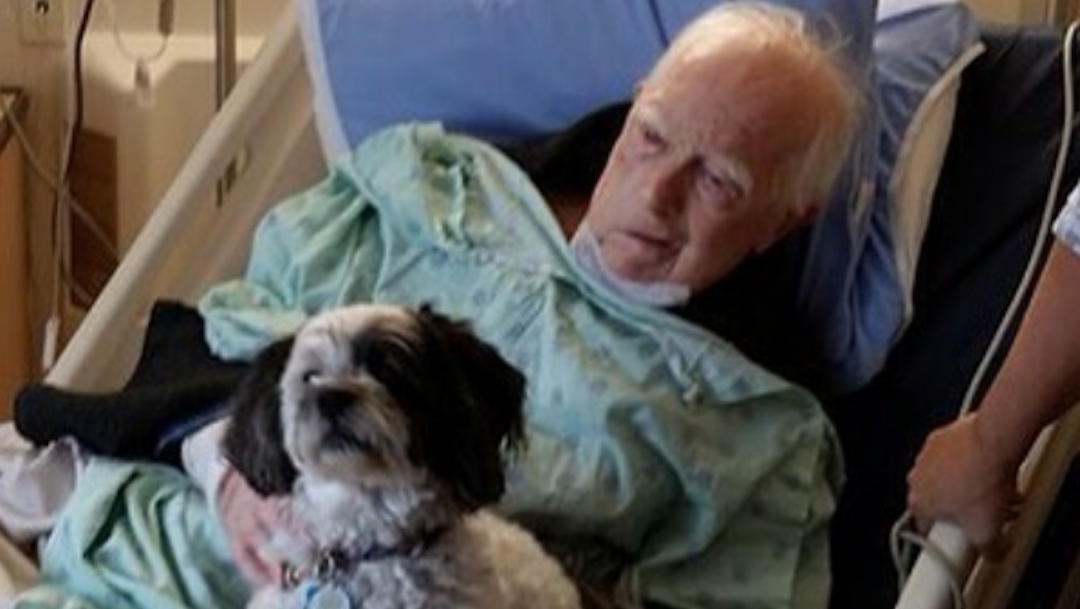 Este hospital permite que los pacientes vean a sus mascotas para que se recuperen pronto