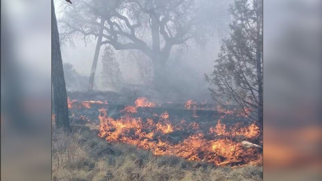 Foto:Se mantienen activos 14 incendios forestales en Chihuahua., 26 junio 2019