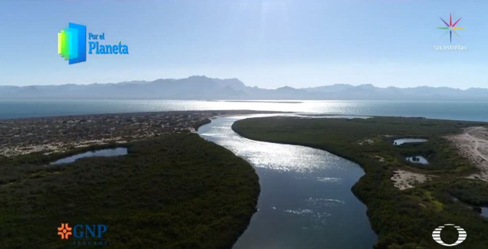 Foto: Isla Tiburón, último territorio sagrado de seris en Sonora 27 junio 2019