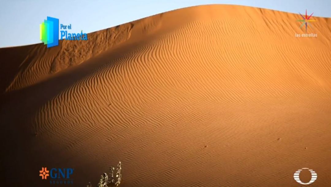 Las dunas de Altar, el canto del gran desierto de Sonora