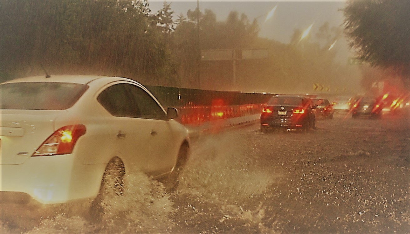 Lluvias en la CDMX dejan encharcamientos, árboles caídos y vehículos varados