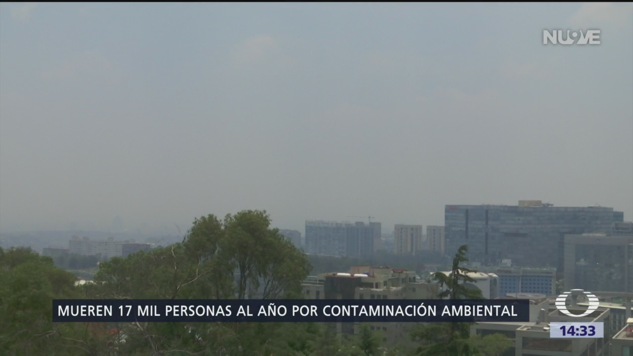 Foto: Los daños ambientales en México