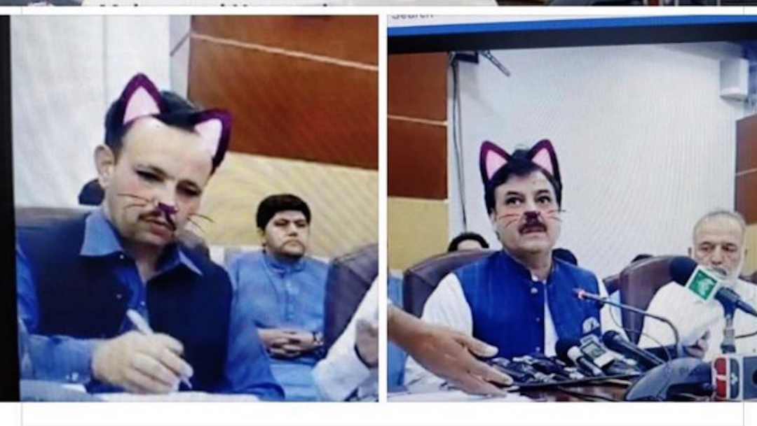 Funcionarios olvidan quitar filtro de gato durante conferencia de ministro